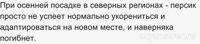 Это правда, что персик нельзя сажать осенью, почему так считают?