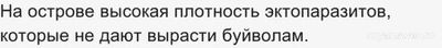 Почему островной вид буйволов намного мельче материкового родственника?