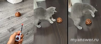 Что за прикол какашка с моторчиком?