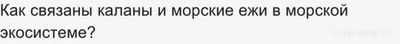 Как решить задание ВСОШ по Экологии для 5-6 класса "Хищники" про каланов?