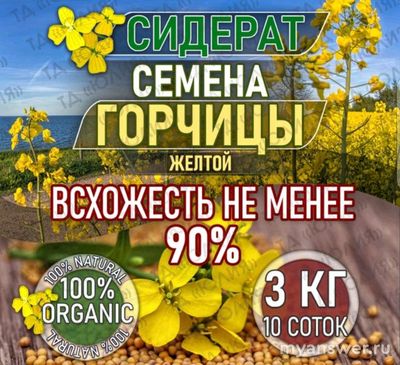 Как сидераты восстанавливают почву?