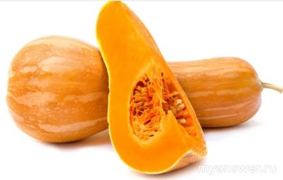 Какие существуют виды тыквы?