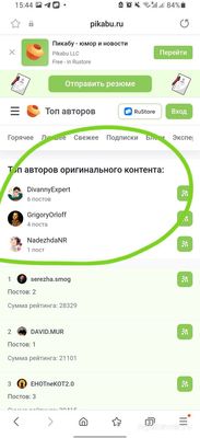 Как найти на Пикабу топовых авторов?
