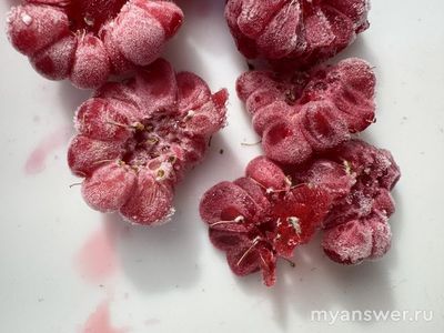 Может ли быть плесень в свежезамороженной малине?