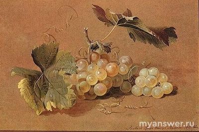 Что такое анизотропия в живописи, примеры картин?