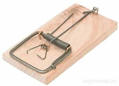 Какие мышеловки считаются самыми лучшими?