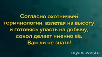 Что делает сокол, взлетая на высоту и готовясь упасть на добычу?