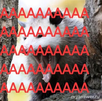 Почему стало так много бесцеремонных людей, нарушающих личные границы?