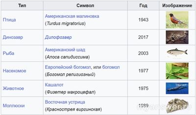 Какой кит и почему стал символом штата Коннектикут?