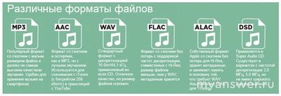 Какой формат является форматом сжатия аудио с потерей качества: MP3, WAV?