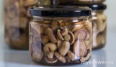 Как приготовить маринованные маслята без стерилизации?