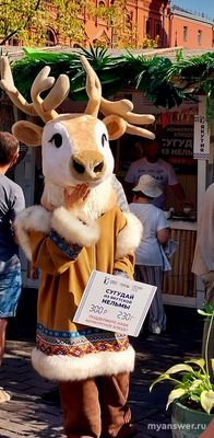 Манежная площадь. Гастрофестиваль 2024 Какие конкурсные блюда готовят?