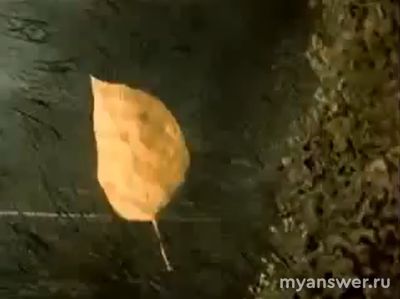 Почему мультфильм "Сказка сказок" (1979) так похож на сон?