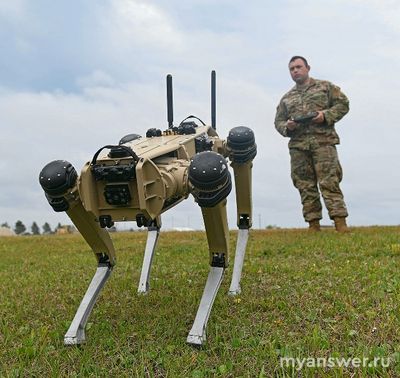 Чем отличается человек от совершенного робота с искусственным интеллектом?