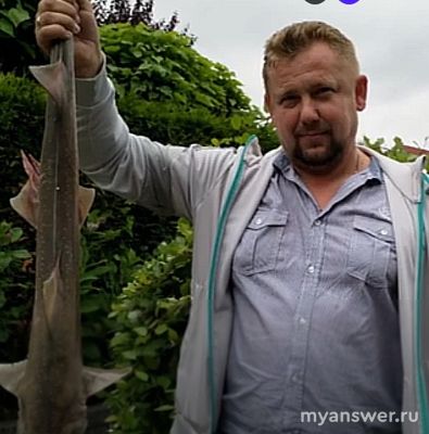 Шашлык из акулятины - как приготовить?