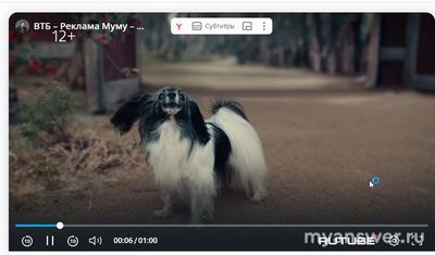 Кто снялся в рекламе ВТБ с Герасимом и Муму (Иван Тургенев "Муму") 2025?