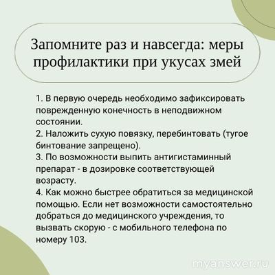 Какие лекарственные средства, помогающие при укусе змеи, брать в поход?