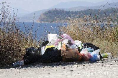 Чем опасны стихийные свалки и куда жаловаться?