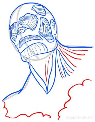Как пошагово карандашом нарисовать Титана из «Атаки титанов»?