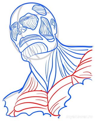 Как пошагово карандашом нарисовать Титана из «Атаки титанов»?