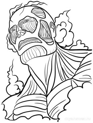 Как пошагово карандашом нарисовать Титана из «Атаки титанов»?