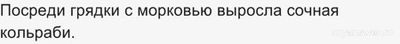В каких предложениях допущена грамматическая ошибка: На окна мы повесим...?