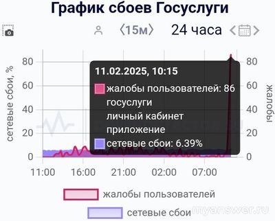 Не работают Госуслуги 11.02.25. Почему, что делать, надолго ли?