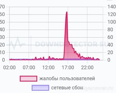 Почему не работает Вайлдберриз 14 февраля 2025 , что делать?