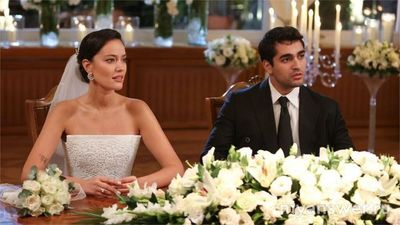 Сериал «Зимородок». Почему Синан хочет убить Сейран?