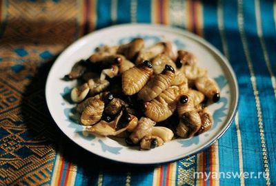 Нормальны ли люди, которые едят насекомых?