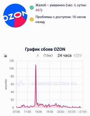 Не отображаются товары на сайте, приложении Озон,что за глюк,как исправить?