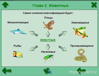 Как ответить: К царству Животных относится фото с садом или птицей (см.)?