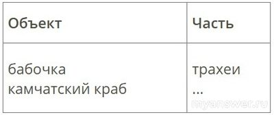 Соотношение: часть бабочки - трахеи. Какая часть у камчатского краба (см.)?