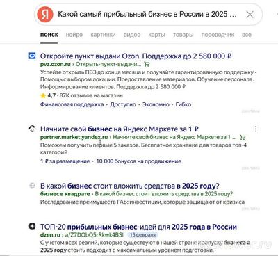 Какой самый прибыльный бизнес в России в 2025 году?