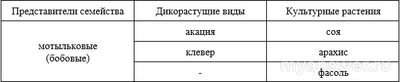 ВПР Биология 7 класс, Как выполнить задания о растении Чина луговая?