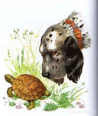 Толстой "Черепаха", краткое содержание какое, тема, жанр?