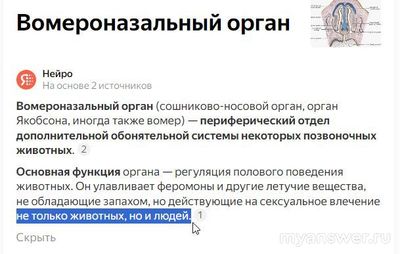 Правда ли, что мужчина выбирает себе женщину по запаху?