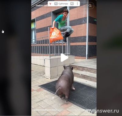 Как посмотреть видео в Тик Ток (tik tok) 25. 01. 2025?