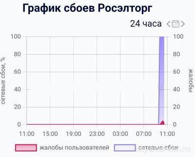 Не работает сайт Росэлторг 09.01.2025,почему, что делать (см.)?