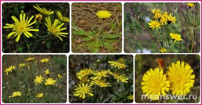 Какие есть русские существительные из 10 букв, причём все буквы различны?