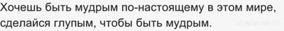 Прочитав Библию, можно сойти с ума или стать мудрецом?