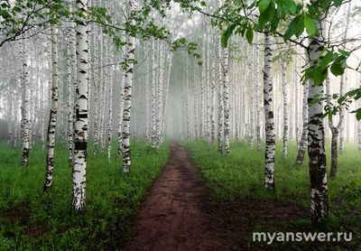 100 к 1. Природа- она какая?