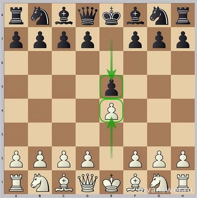 Сколько существует классических шахматных дебютов?