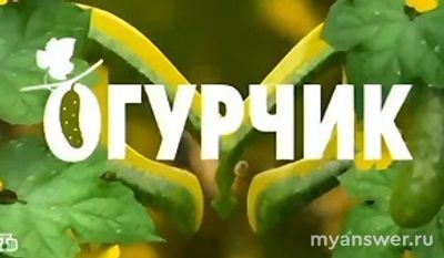 Шоу "Маска", 6 сезон (2025). Как могут выглядеть костюмы участников?