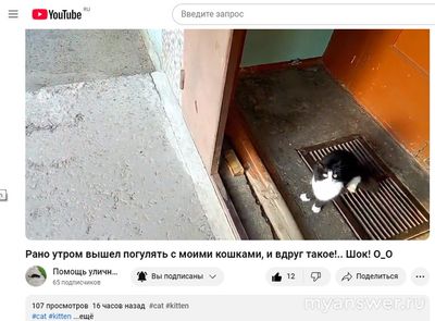 Заработает ли You Tube к Рождественским праздникам 7-8 января 2025 года?