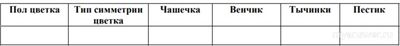 ВПР Биология 7 класс, Как выполнить задания о растении Чина луговая?
