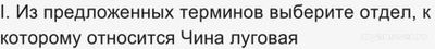 ВПР Биология 7 класс, Как выполнить задания о растении Чина луговая?