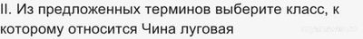 ВПР Биология 7 класс, Как выполнить задания о растении Чина луговая?