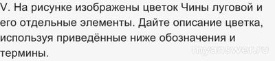 ВПР Биология 7 класс, Как выполнить задания о растении Чина луговая?