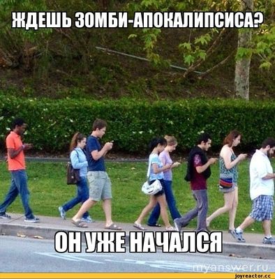 Почему, не успев проснуться, мы хватаемся за телефон?